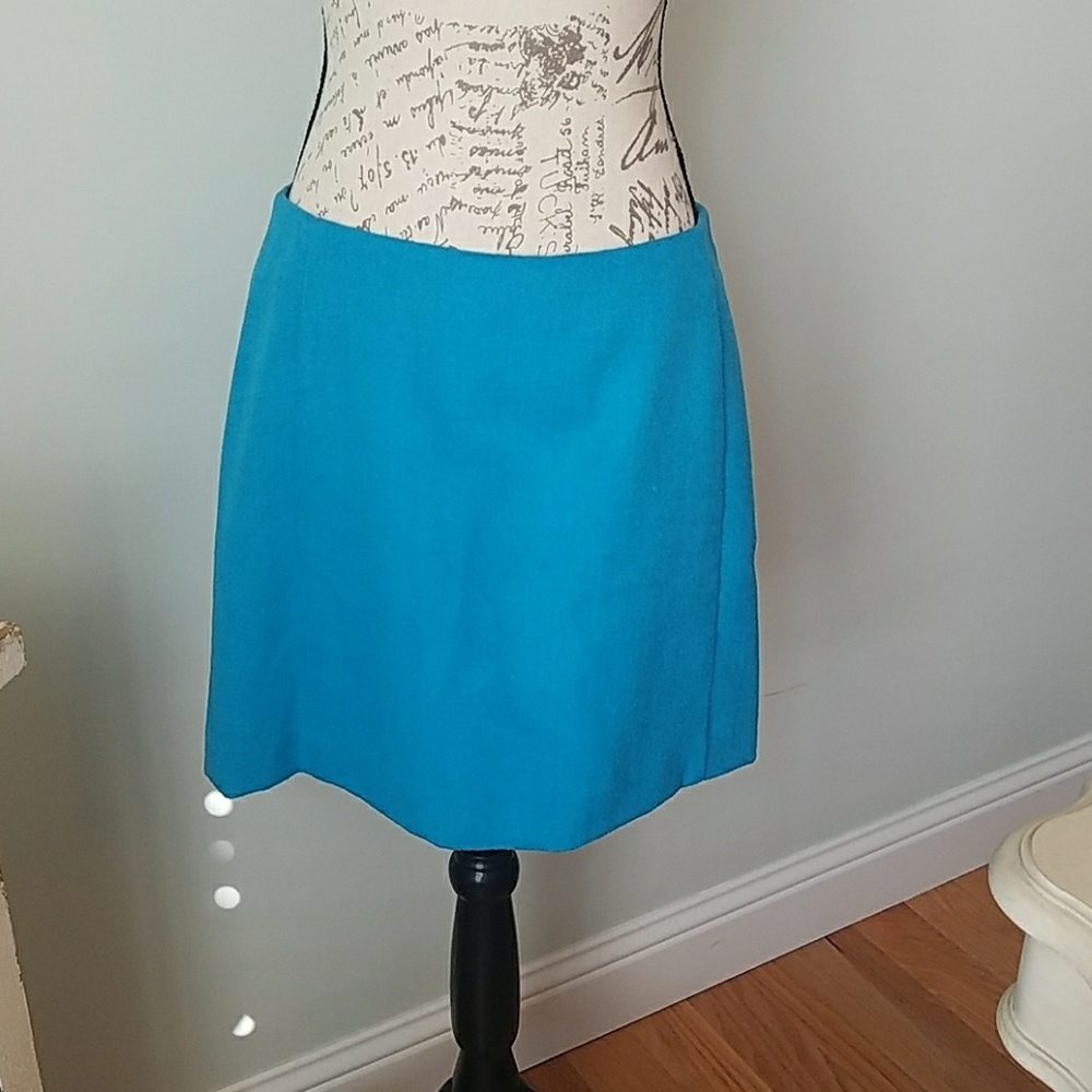 The Limited Skirt size 8